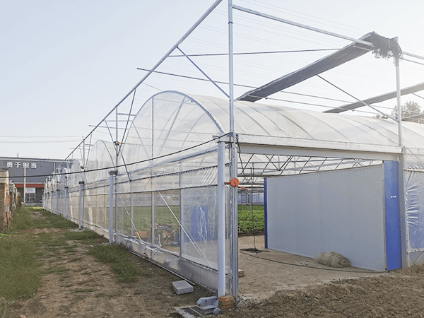Строительство завода по промышленному выращиванию рассады овощей «Пекин Юйнун Ханши»