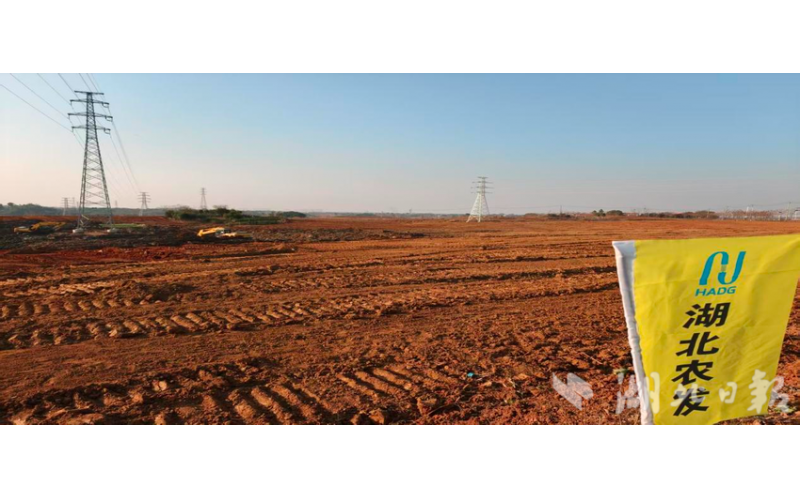 从田块零散到“田成方、渠相通” 段店镇打造“升级版”高标准农田