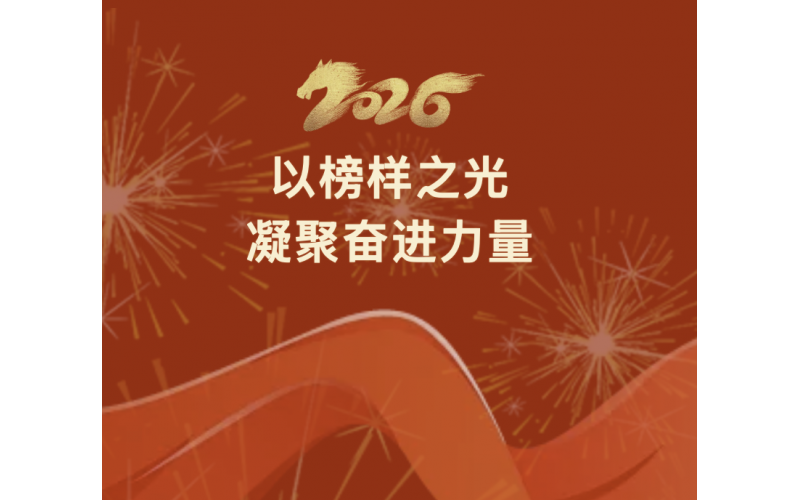 以榜样之光凝聚奋进力量 - 湖北农发集团表彰2025年度先进集体和先进个人①